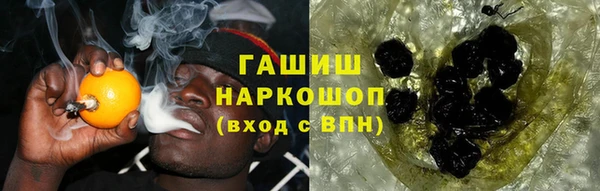 шишки Белокуриха