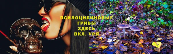 spice Баксан