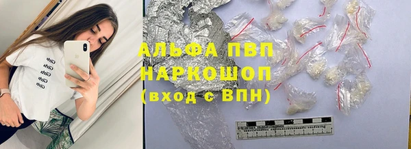 молекула духа Ахтубинск