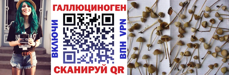 гидра онион  Гремячинск  Галлюциногенные грибы GOLDEN TEACHER 